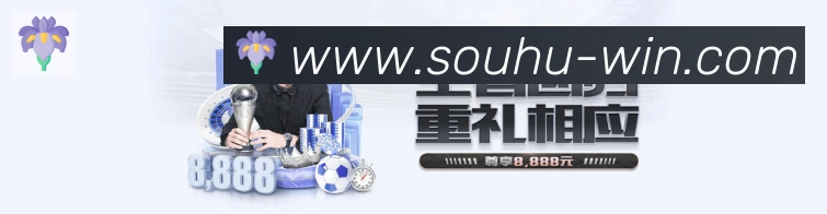 未来规划